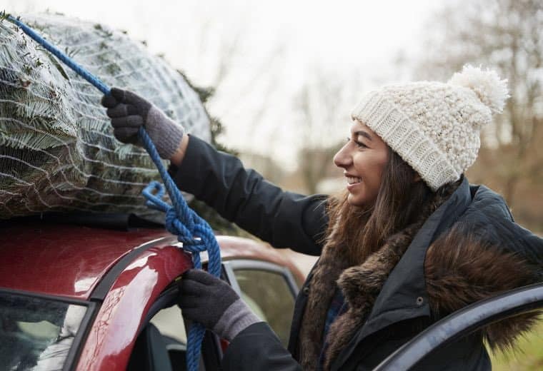 75% of drivers don’t know Xmas tree transport rules-follow our guide to avoid fines